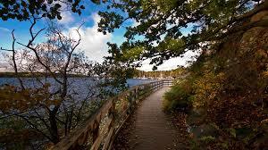 Grimsta nature reserve